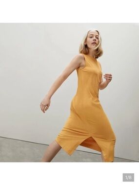 Everlane Sleeveless Cotton Dress